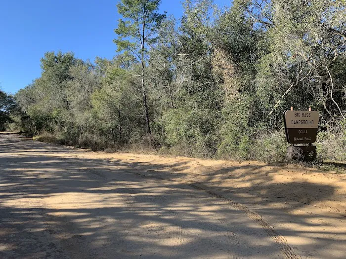 Big Bass Campground Picture 4