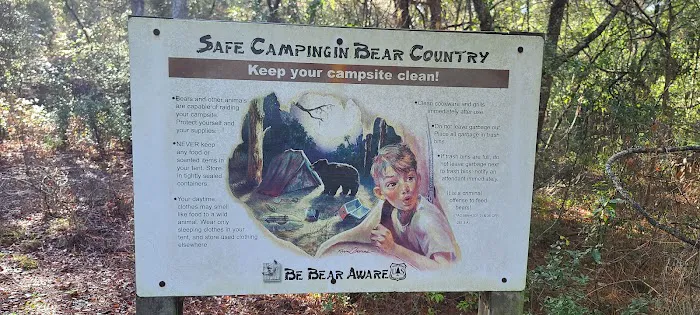 Big Bass Campground Picture 6