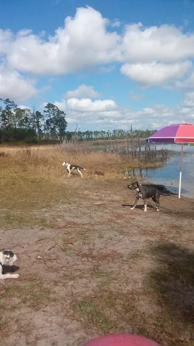 Big Bass Campground Picture 10