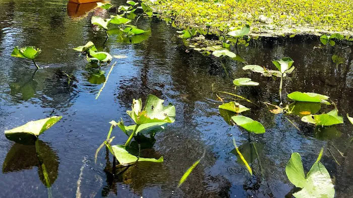 Kings Landing Campground Picture 10