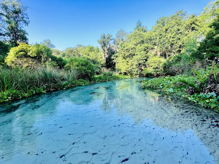 Kings Landing Campground Picture 1
