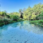 Kings Landing Campground