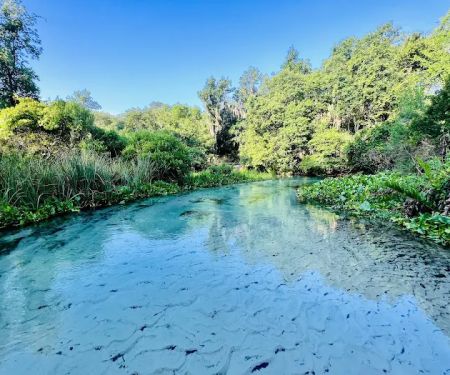 Kings Landing Campground