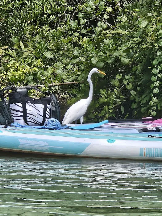 Kings Landing Campground Picture 4