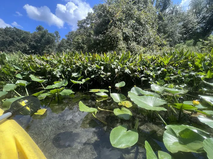 Kings Landing Campground Picture 5