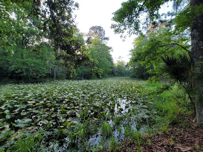 Camp Joy Group Camping Picture 1