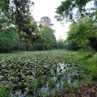 Camp Joy Group Camping ico