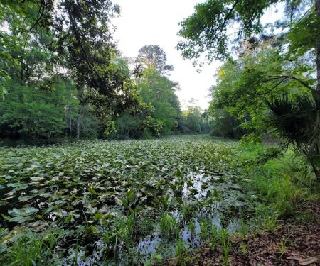 Camp Joy Group Camping