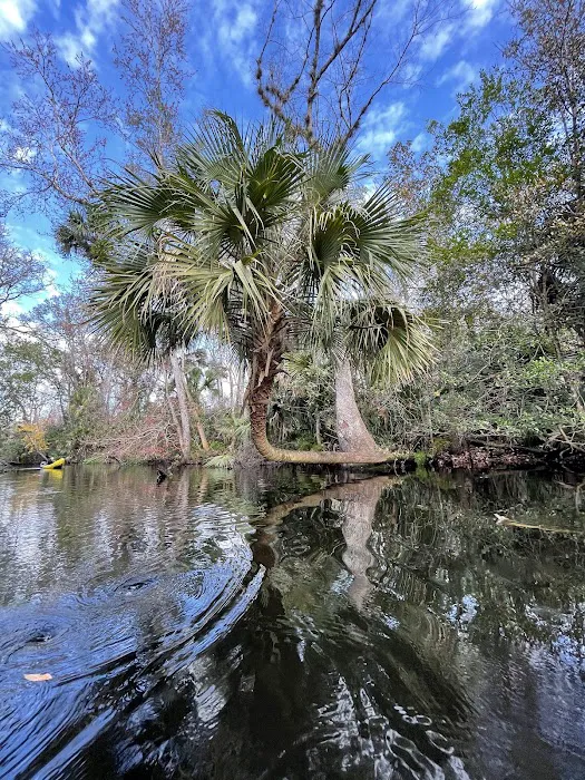 Camp Joy Group Camping Picture 7