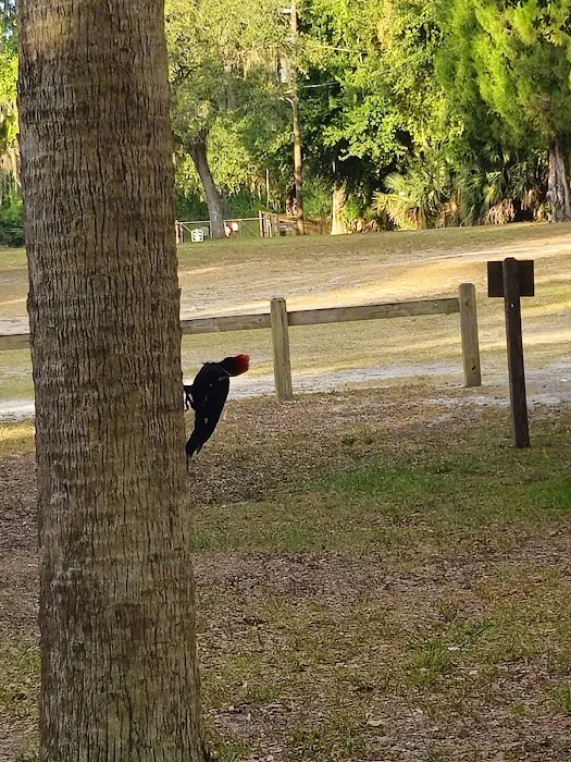 Camp Joy Group Camping Picture 6