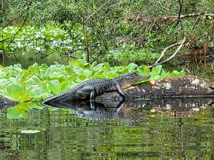 Camp Joy Group Camping Picture 8