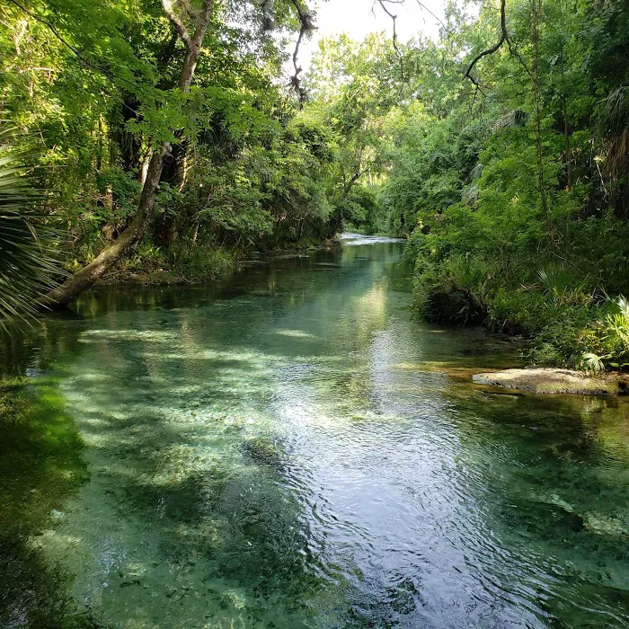 Kelly Park Campground Picture 2