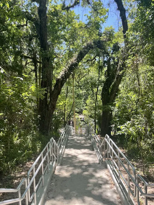 Kelly Park Campground Picture 3