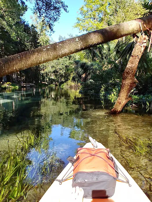 Kelly Park Campground Picture 8