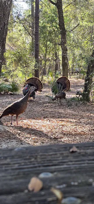 Kelly Park Campground Picture 9