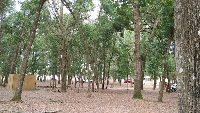 CAMP GAN ISRAEL FLORIDA Picture 4