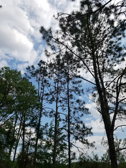 CAMP GAN ISRAEL FLORIDA Picture 7