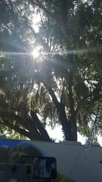 Bikers Sleep For Cheap Picture 1