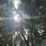 Bikers Sleep For Cheap