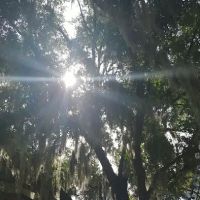 Bikers Sleep For Cheap ico