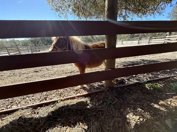 Lucky U Ranch Picture 2