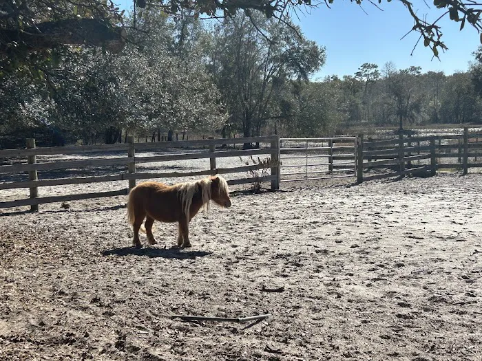 Lucky U Ranch Picture 4