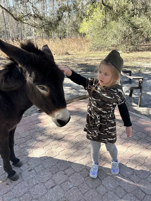 Lucky U Ranch Picture 7