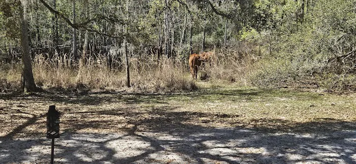 Lucky U Ranch Picture 9