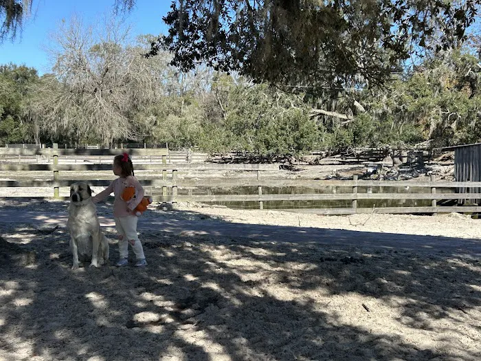 Lucky U Ranch Picture 3