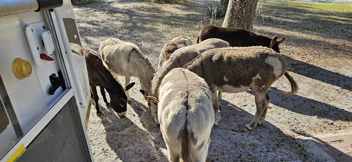 Lucky U Ranch Picture 10