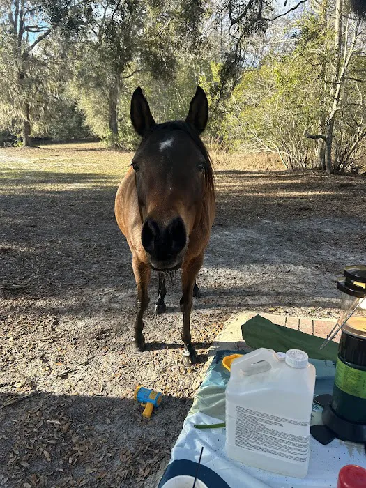 Lucky U Ranch Picture 1