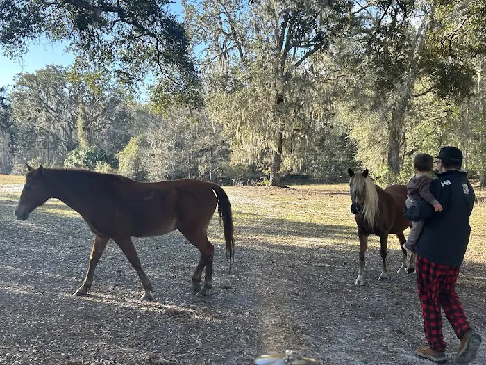 Lucky U Ranch Picture 6