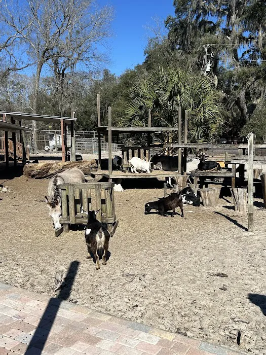 Lucky U Ranch Picture 5