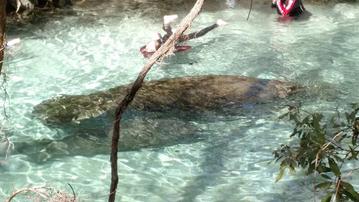 Crystal River NWR Resident Volunteer Campgrounds Picture 3