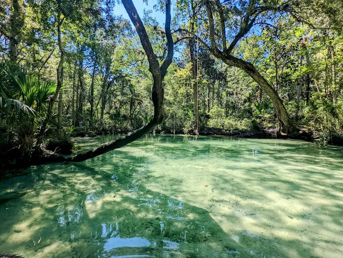 Chassahowitzka River Campground Picture 6