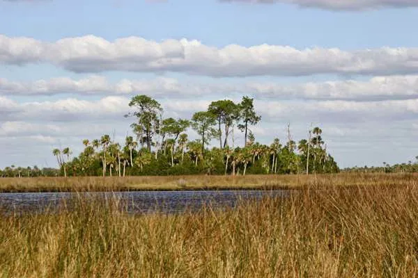 Chassahowitzka River Campground Picture 10