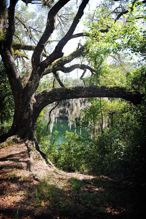 Mutual Mine Campground Picture 10