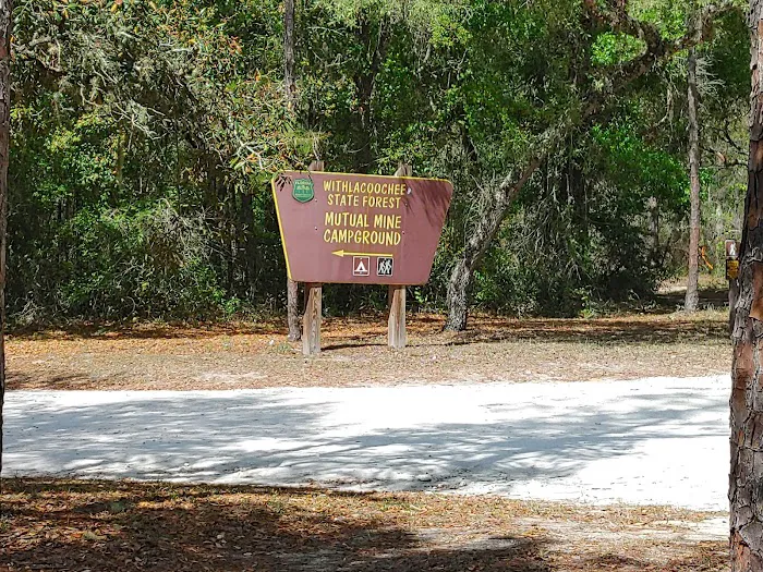 Mutual Mine Campground Picture 3