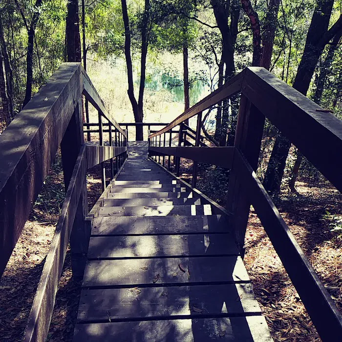 Mutual Mine Campground Picture 4