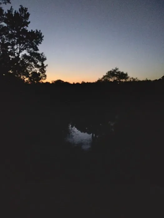 Mutual Mine Campground Picture 6