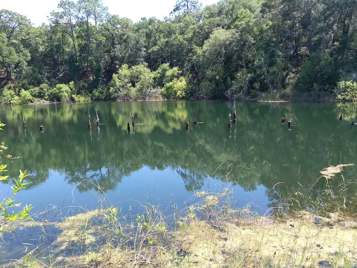 Mutual Mine Campground Picture 2