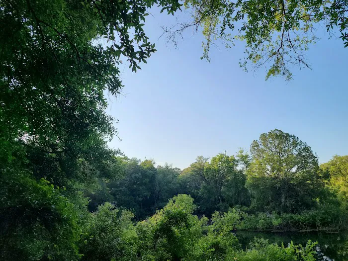 Mutual Mine Campground Picture 7