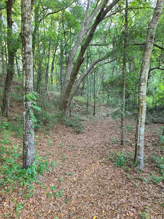 Mutual Mine Campground Picture 1