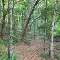 Mutual Mine Campground ico