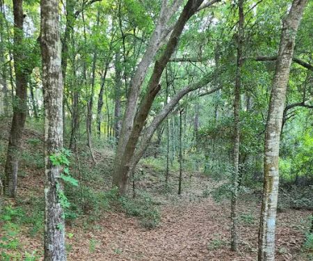 Mutual Mine Campground