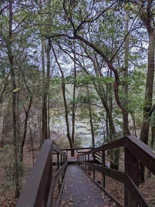 Mutual Mine Campground Picture 5