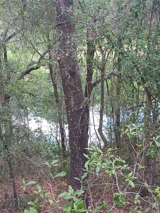 Mutual Mine Campground Picture 8