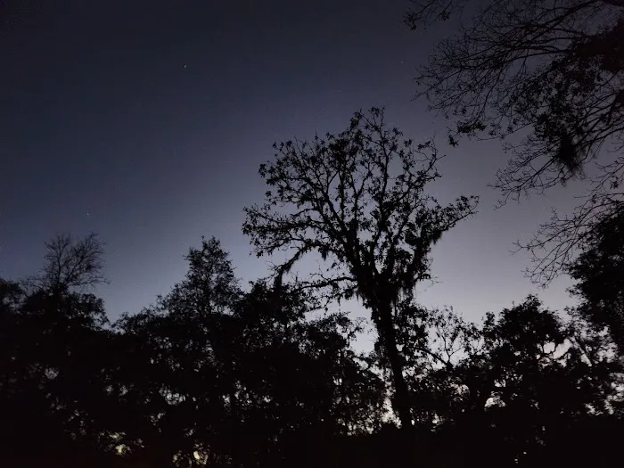 Holder Mine Campground Picture 6