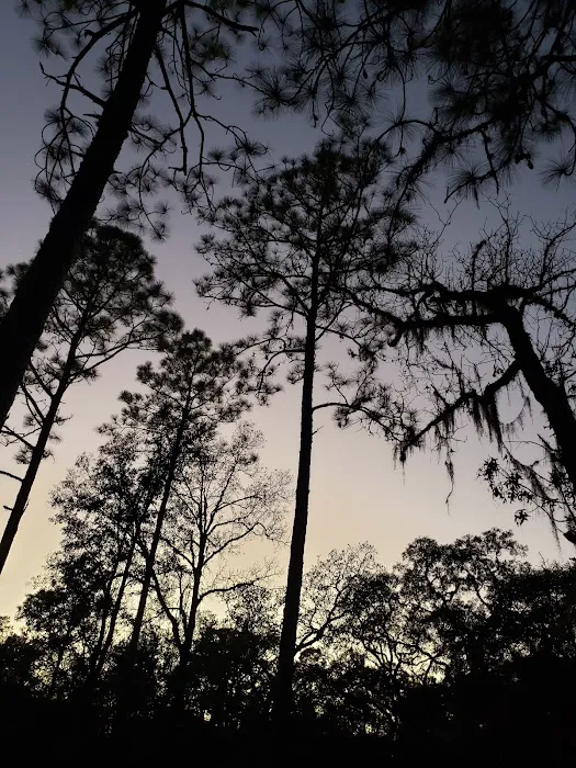 Holder Mine Campground Picture 10