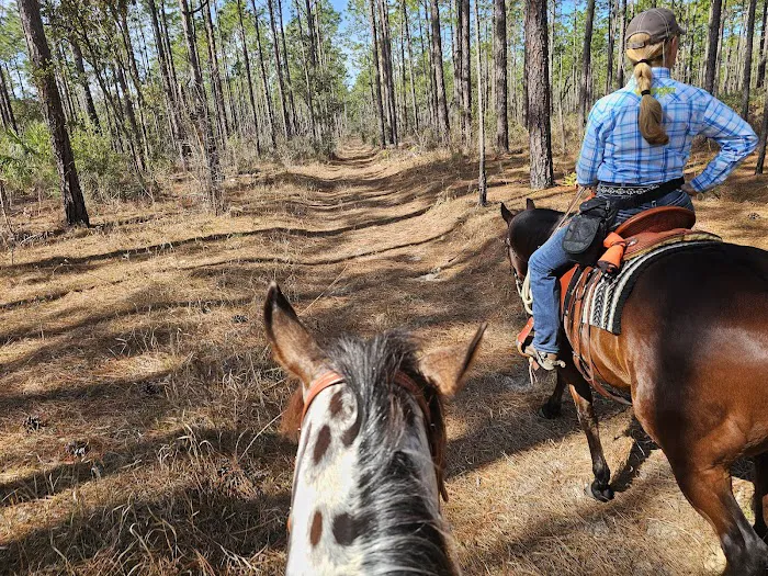 Tillis Hill Recreation Area Picture 9